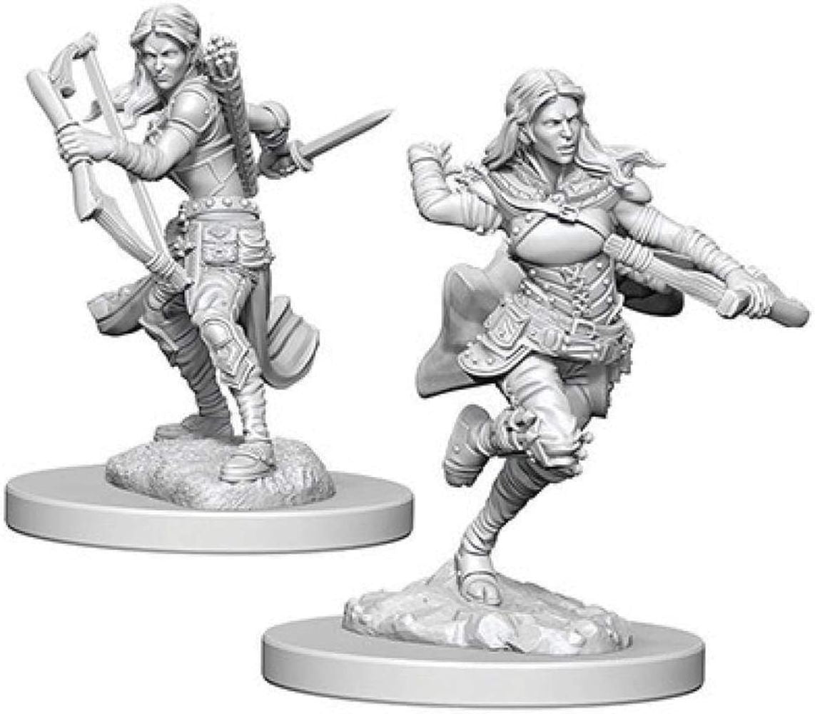 Dungeons & Dragons Nolzur's Marvelous Miniatures Air Genasi Female Rogue