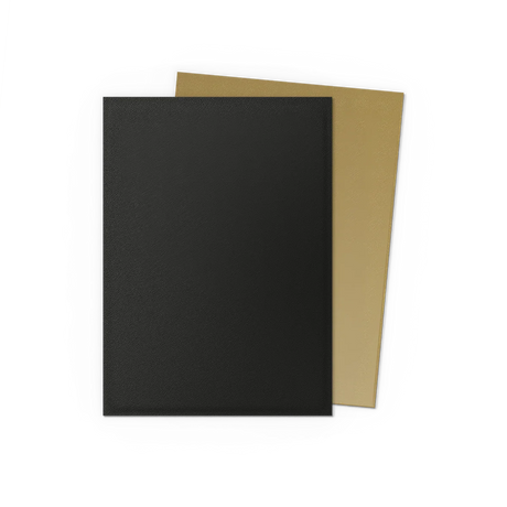 Dragon Shield - Dual Matte Standard Size Sleeves 100pk - Black & Gold