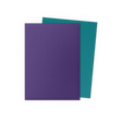 Dragon Shield - Dual Matte Standard Size Sleeves 100pk - Soul & Petrol