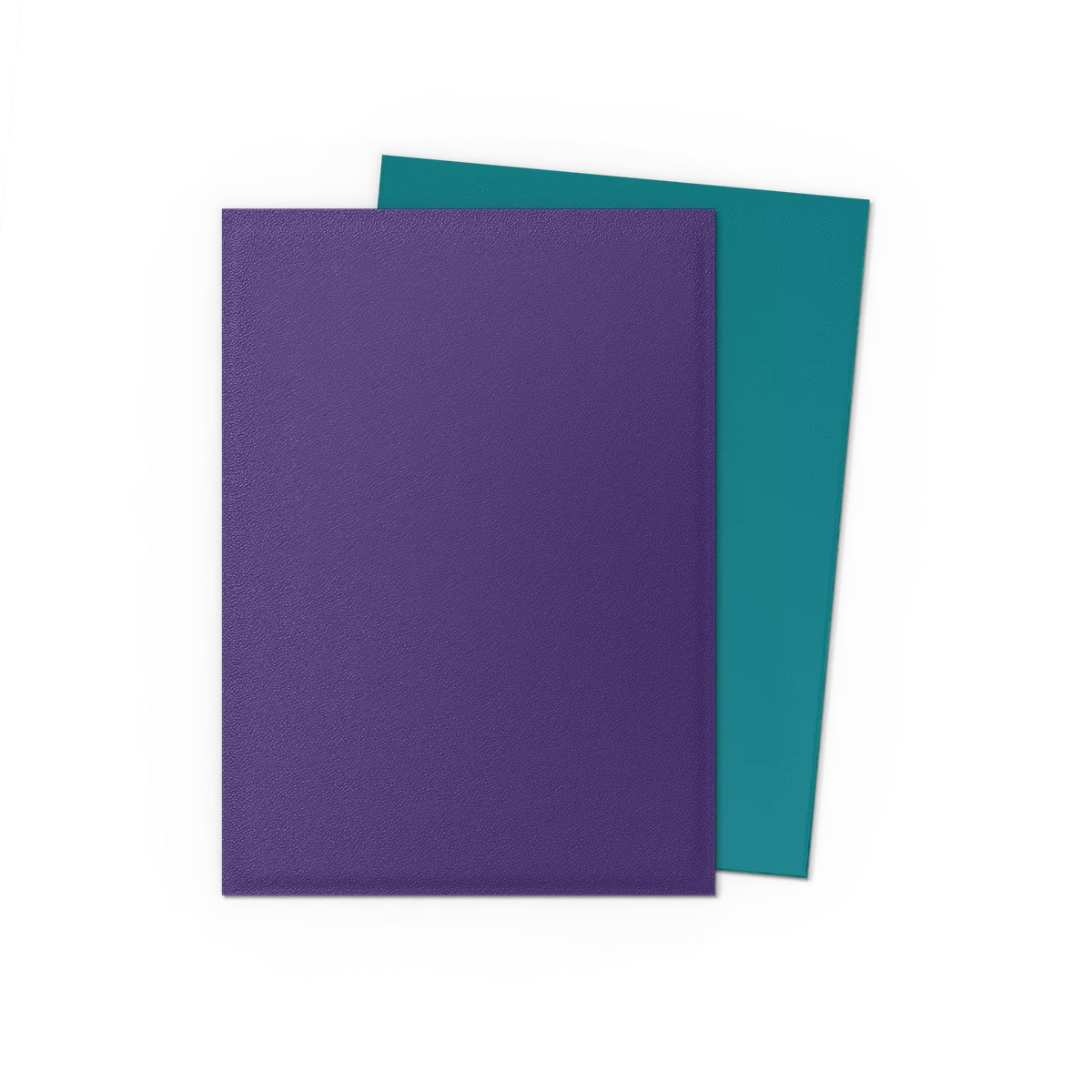 Dragon Shield - Dual Matte Standard Size Sleeves 100pk - Soul & Petrol