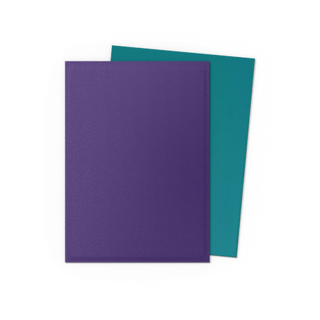 Dragon Shield - Dual Matte Standard Size Sleeves 100pk - Soul & Petrol
