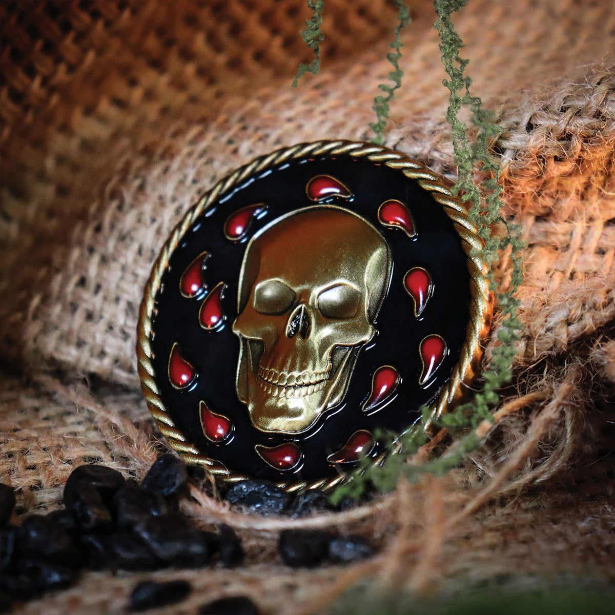Baldur’s Gate – Limited Edition Collector’s Set