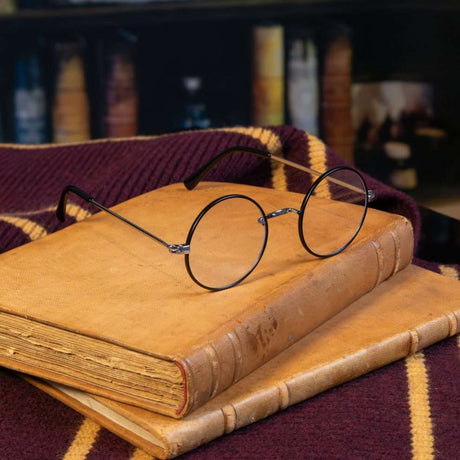 Harry Potter's Glasses