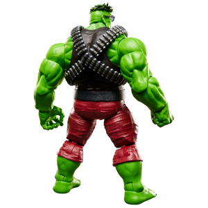 Marvel Legends Series Professor Hulk Action Figure