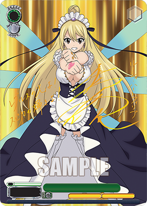 Weiss Schwarz - Fairy Tail 100 Years Quest Booster (12 Count)