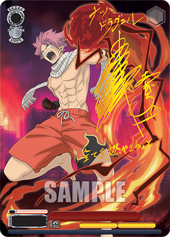 Weiss Schwarz - Fairy Tail 100 Years Quest Booster (12 Count)