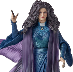 Hasbro Marvel Legends: Wanda Vision - Agatha Harkness Action Figure