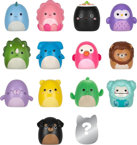 Squishmallows Squish-a-longs 14 Pack (Wave 3, Style 2)